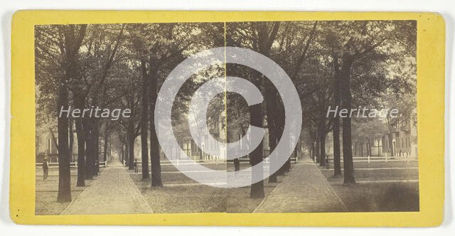 Bull St. from Madison Square, 1860/80. Creator: J. N. Wilson.