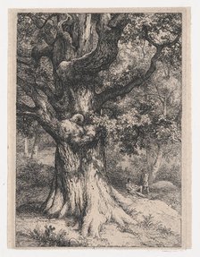 The Charlemagne, Oak Tree with an Eagle's Nest, 1845. Creator: Eugene Blery.