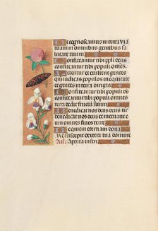 Hours of Queen Isabella the Catholic, Queen of Spain: Fol. 250v, c. 1500. Creator: Master of the First Prayerbook of Maximillian (Flemish, c. 1444-1519); Associates, and.