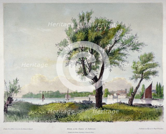 Battersea, London, 1840.                                                       Artist: Edward Hassell