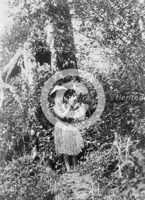 Quinault berry picker, c1913. Creator: Edward Sheriff Curtis.