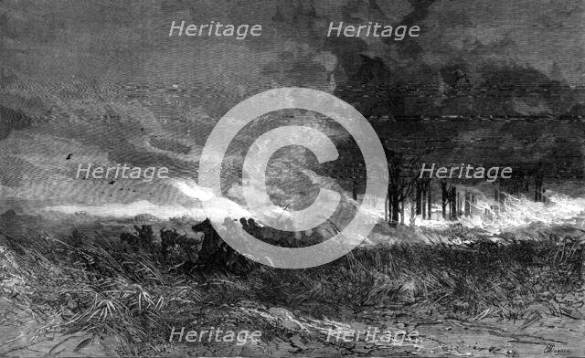 A forest fire in America, 1881. Creator: Unknown.