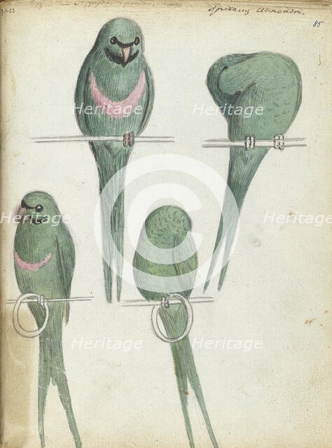 Lovebirds, 1785-1786. Creator: Jan Brandes.