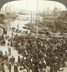 'The harbor, N.W. from the market-place in Bergen, the greatest fish market of Norway', c1905. Creator: Unknown.