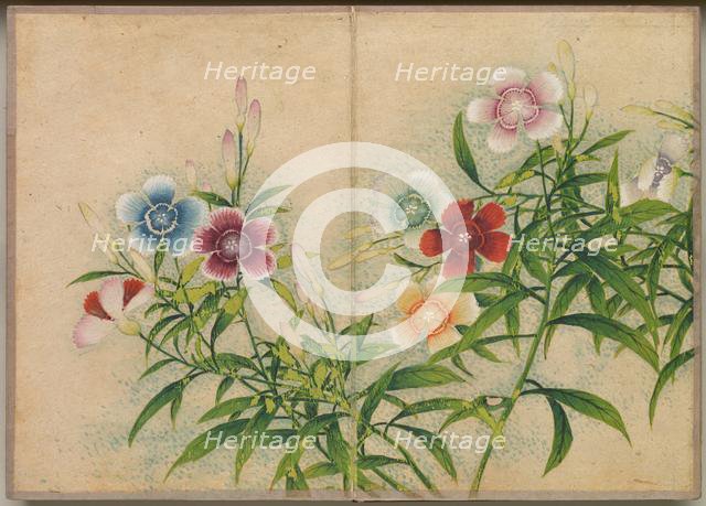 Desk Album: Flower and Bird Paintings (Pinks), 18th Century. Creator: Zhang Ruoai (Chinese).