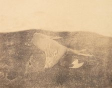 Dead Roe Buck, ca. 1856-59. Creator: Horatio Ross.