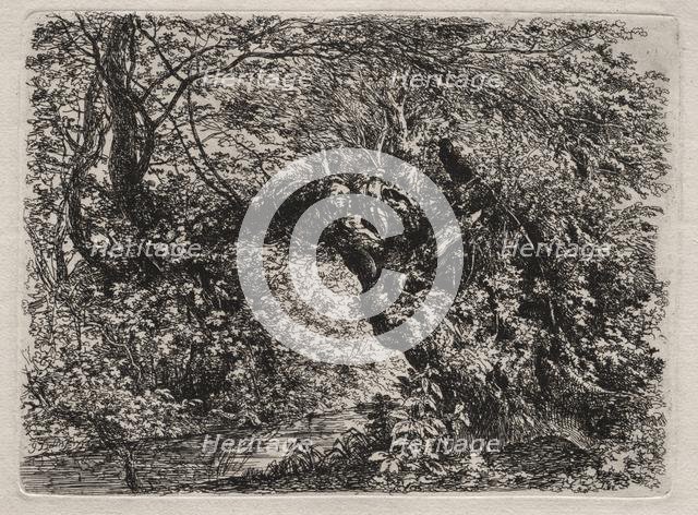 The Old Willow at a Brook, 1794. Creator: Georg von Dillis (German, 1759-1841).