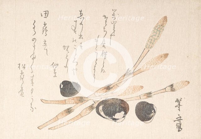 Tsukushi Plant and Shijimi Shells. Creator: Uematsu Toshu.