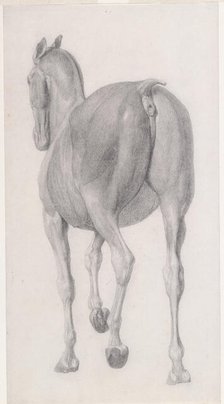 Finished study for 'The Eleventh Anatomical Table of the Muscles ... of the Horse', 1756. Creator: George Stubbs.