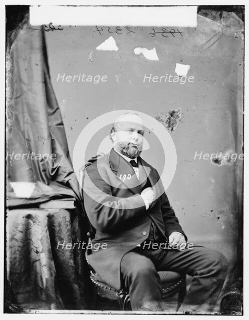 Professor Julius Erasmus Hilgard, between 1860 and 1875. Creator: Unknown.