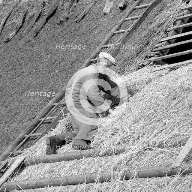 A roofer building a thatched roof, Sweden. Artist: Unknown