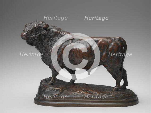 Standing Angus Bull, model second half 19th century. Creator: Isidore-Jules Bonheur.