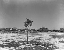 The town of Widtsoe, Utah, 1936. Creator: Dorothea Lange.