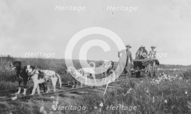 Pup-mobile, between c1900 and 1916. Creator: Unknown.