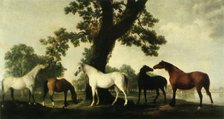 'Five Brood Mares at the Duke of Cumberland's Stud Farm in Windsor Great Park', 1765, (1944).  Creator: George Stubbs.