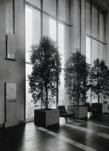 Bernardino Ramazzini. Photograph of a bas-relief in the Deutsches Hygiene Museum. Creator: Unknown.