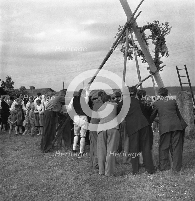 Raising the maypole for the Midsummer celebrations, Sweden, 1951. Artist: Torkel Lindeberg
