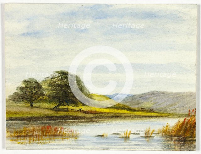 Marshy Landscape, 1800-1899. Creator: Unknown.