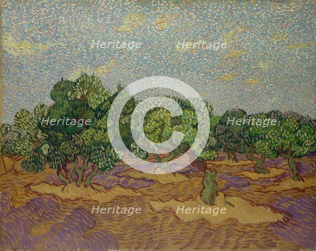 Olive Trees, 1889. Creator: Vincent van Gogh.