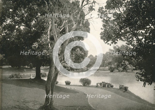 'Royal Lakes, Rangoon', 1900. Creator: Unknown.
