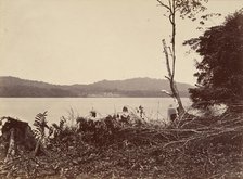 Tropical Scenery, Darien Harbor, Chipigana, 1871. Creator: John Moran.