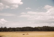 Field with farm equipment in distance, between 1941 and 1942. Creator: Unknown.