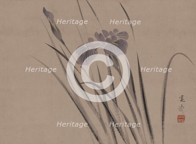 Irises sway in the wind, . Creator: Kansai; Mori (1814-1894).