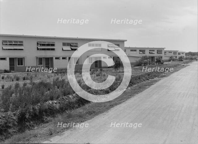 Chandler project, Farm Security Administration, Arizona, 1938. Creator: Dorothea Lange.
