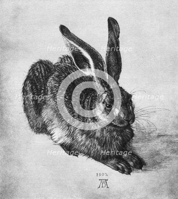 'Hare', 1502, (1936). Artist: Albrecht Dürer
