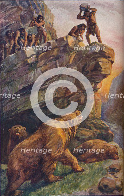 Prehistoric men attacking great cave bears, 1907. Artist: Unknown.