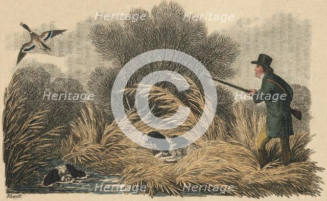 'Duck Shooting', 1810. Creator: Samuel Howitt.