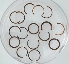 Rings and Ring Fragments, Coptic, 4th century. Creator: Unknown.