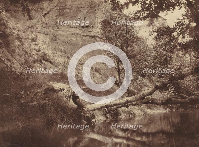 Riverbank, c. 1855. Creator: Frank Chauvassaigne.