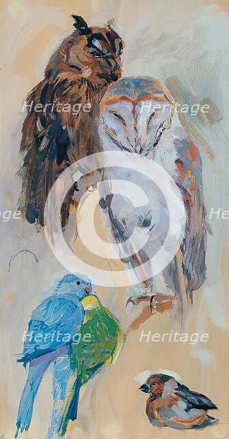 Animal study from Schönbrunn, around 1913/1914. Creator: Carl Fahringer.