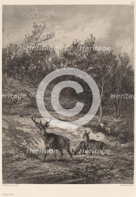 Au bord de l'eau. Creator: Karl Bodmer.