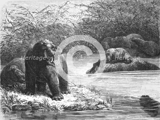 ''A quiet nook on the Chambeze river; The regions of the Cazembe', 1875. Creator: Unknown.