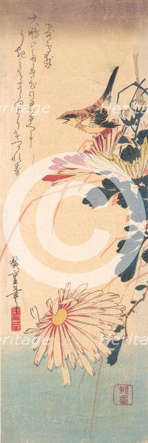 A Wren and Chrysanthemums, ca. 1830., ca. 1830. Creator: Ando Hiroshige.