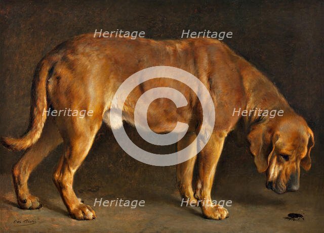 A Broholmer dog looking at a stag beetle, 1871. Creator: Otto Bache.