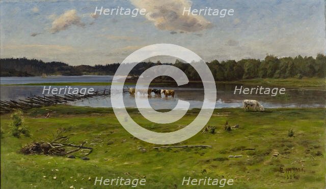 Shore Landscape from Aland, 1888. Creator: Elias Muukka.