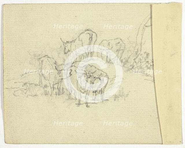 Cattle (recto); The Charlatan (verso), n.d. (recto); 1789/1843 (verso). Creator: William Henry Pyne.