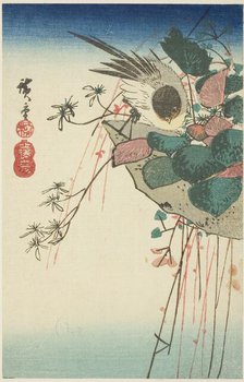 Sparrow on a hanging planter, n.d. Creator: Ando Hiroshige.