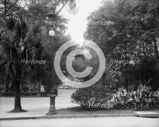 Forsyth Park, Savannah, Ga., between 1900 and 1910. Creator: Unknown.
