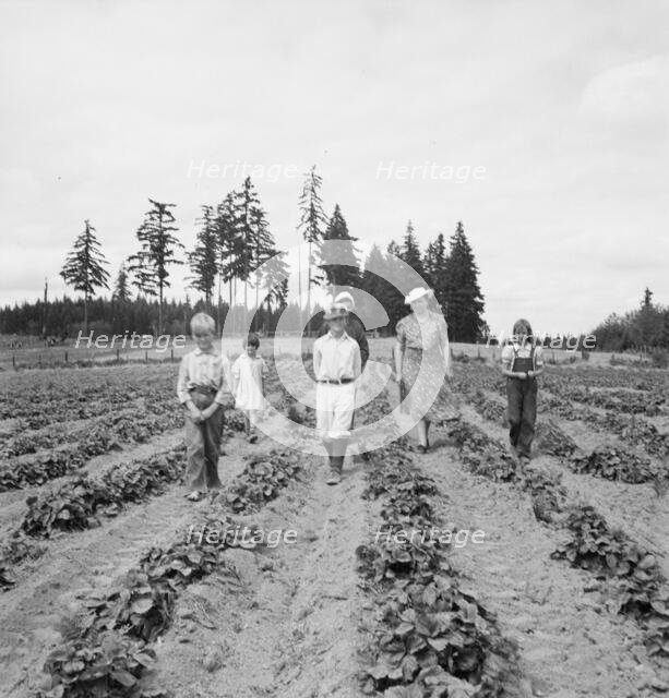 Possibly: The Arnold children and mother on their newly...Michigan Hill, Thurston County, 1939. Creator: Dorothea Lange.