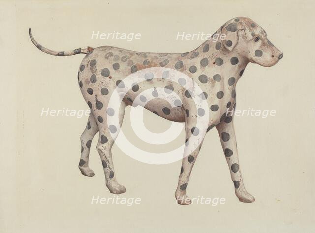 Dalmatian, 1935/1942. Creator: Betty Fuerst.