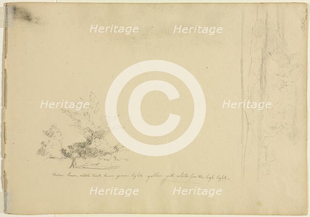 Landscape and Tree Studies (verso), c. 1851. Creator: David Johnson (American, 1827-1908).