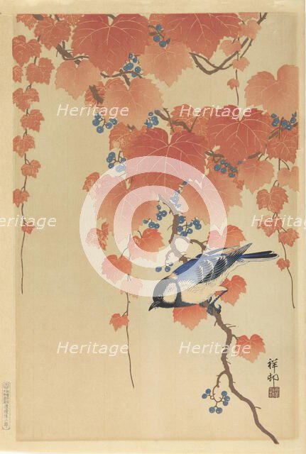 Great tit on paulownia branch, 1925-1936. Creator: Ohara, Koson (1877-1945).