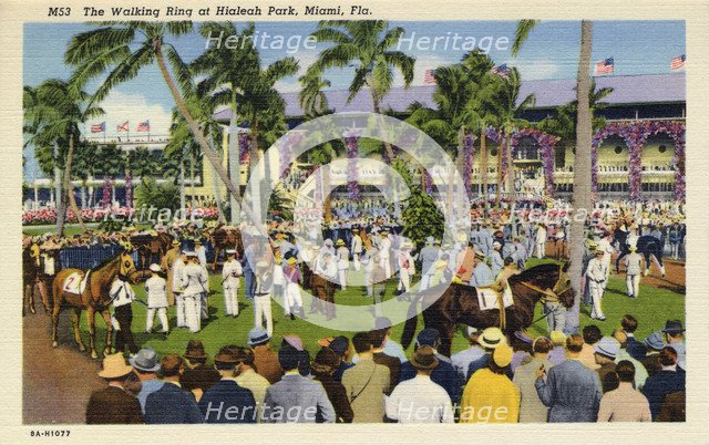 The walking ring at Hialeah Park Racecourse, Miami, Florida, USA, 1938. Artist: Unknown