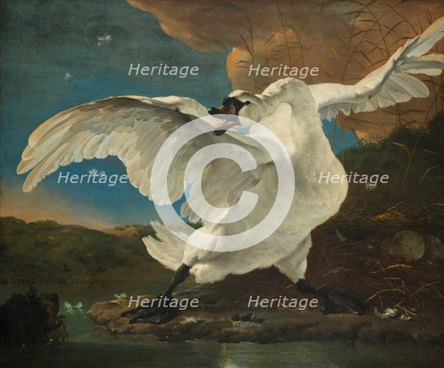 The Threatened Swan, before 1652. Artist: Asselijn, Jan (ca 1610-1652)
