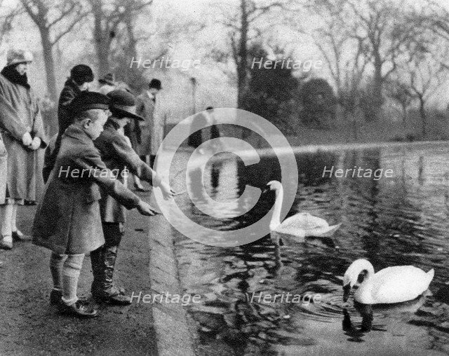 Children feeding the swans on the Serpentine, London, 1926-1927. Artist: Unknown