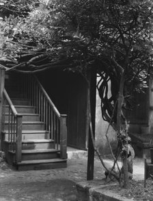 Stairway in a courtyard, New Orleans, between 1920 and 1926. Creator: Arnold Genthe.